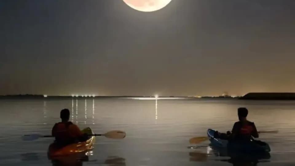 Full moon kayak tour at louvre Abu Dhabi - Image 1